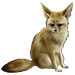 Item fennecfox 01.png