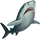 Item tigershark 01.png