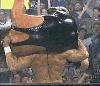Nitro 3-23-98 19.jpg (3 KB) Nitro 3-23-98 19