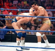 Survivor Series 2010..21