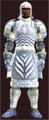 T9 Leather Healer - Easy (Armor Set) (Visible, Male).jpg