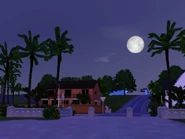 Beach At Night