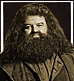 Bullet-hagrid