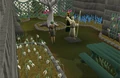 Garden of Tranquillity.jpg