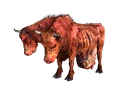 Brahmin.png