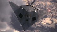 Nighthawk