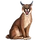 Item desertlynx 01