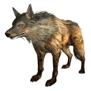 Fallout NV Legion mongrel