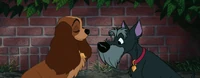 Ladyandthetramp134