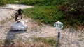 Gl stop sign.jpg