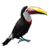 Huge item tocotoucan 01.png