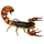 Item europeanscorpion 01