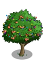 Wax Apple6-icon