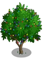 Golden Apricot5-icon