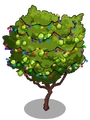 Ruby Guava6-icon