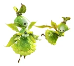 Sylphs in Final Fantasy XIV
