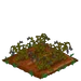 Columbine withered
