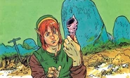 Link and a Secret Seashell