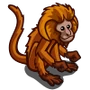 Gold Lion Tamarin-icon