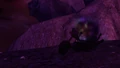 Thumb5.gif