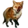 Item redfox 01