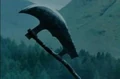 Axe3.jpg