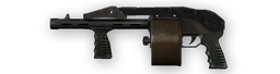 Chsht protecta