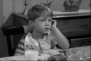 Opie Taylor