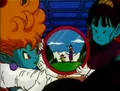 SnakeMirror
