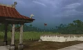 BFV OPERATION HASTIONGS THE PLANTATION NVA CONTROL
