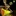Inv potionf 6