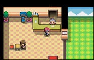 Guardería Pokémon Platino