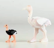 Ostrich Proto