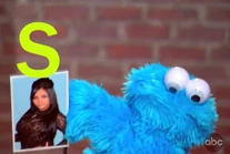 JKLCookieMonsterSnookie