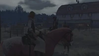 Rdr tempest looms07