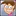 IconTimmy
