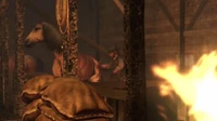 Rdr burning12