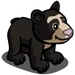 Andean Bear Cub-icon