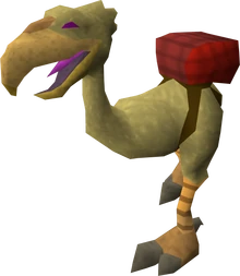 Terrorchickgnome