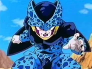 Celljr004