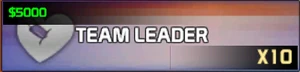 Team Leader