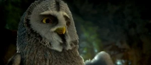 TwilightCapOwlsofGahoole
