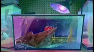 Lover's Tank