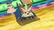 EP676 Herdier con Aloe