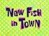 New Fish in Town.jpg