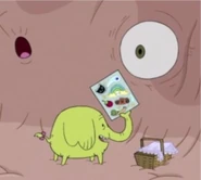 Tree-trunks-stickers