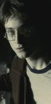 Harryinthecave
