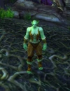 WindTamerShoshok