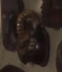 Akaali horned creature.jpg