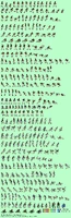 Aladdinmastersystem